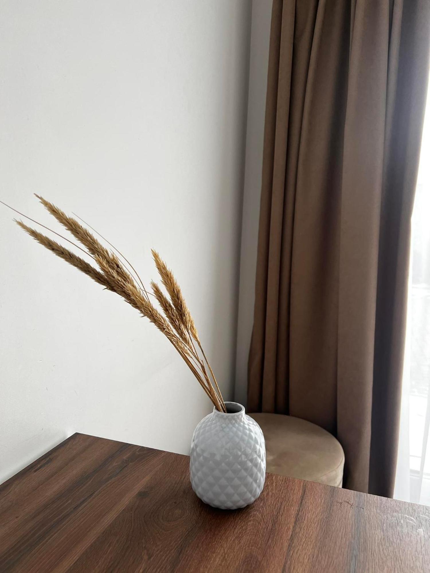 Izabeles Apartamentai パランガ エクステリア 写真
