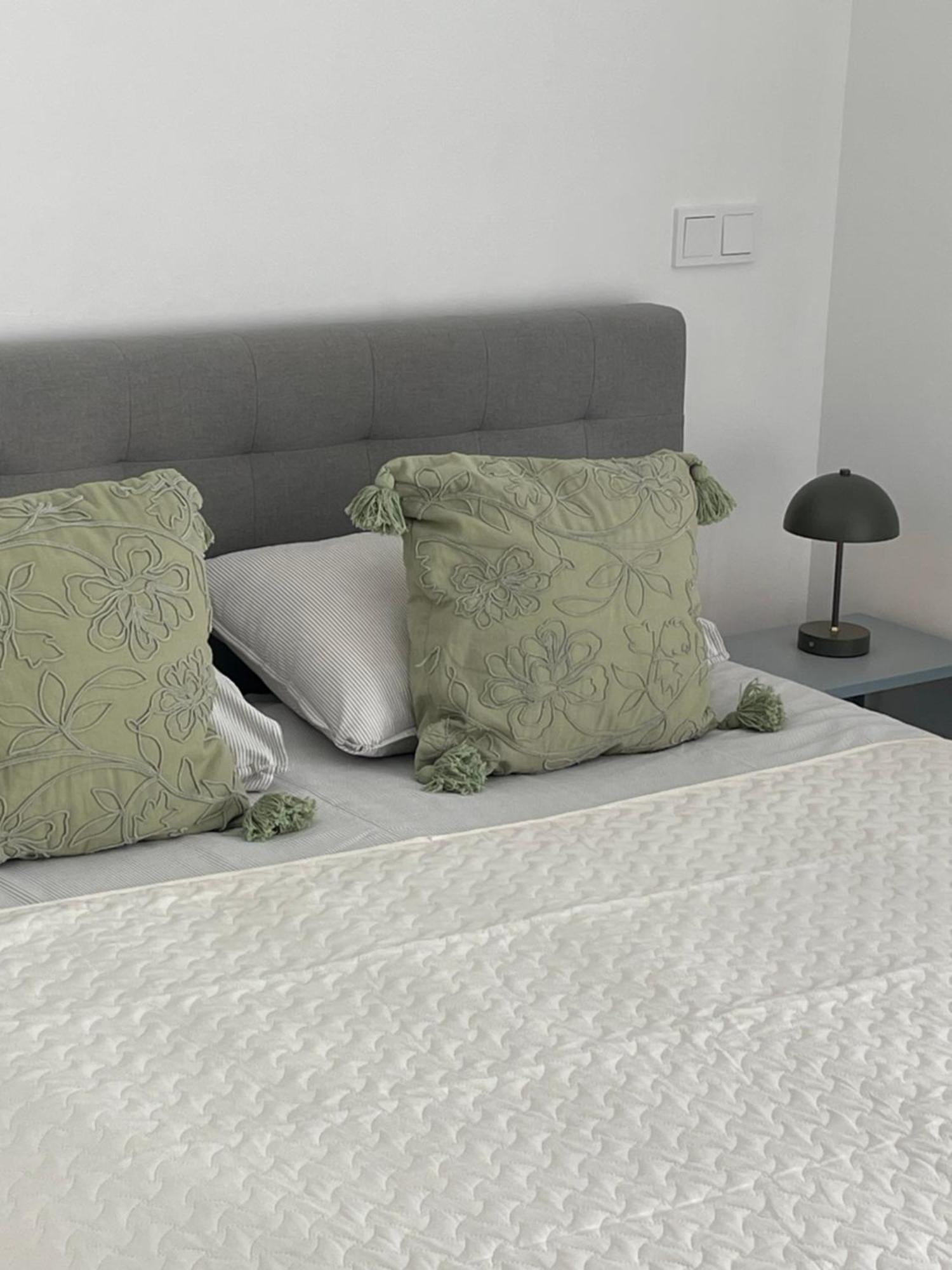 Izabeles Apartamentai パランガ エクステリア 写真